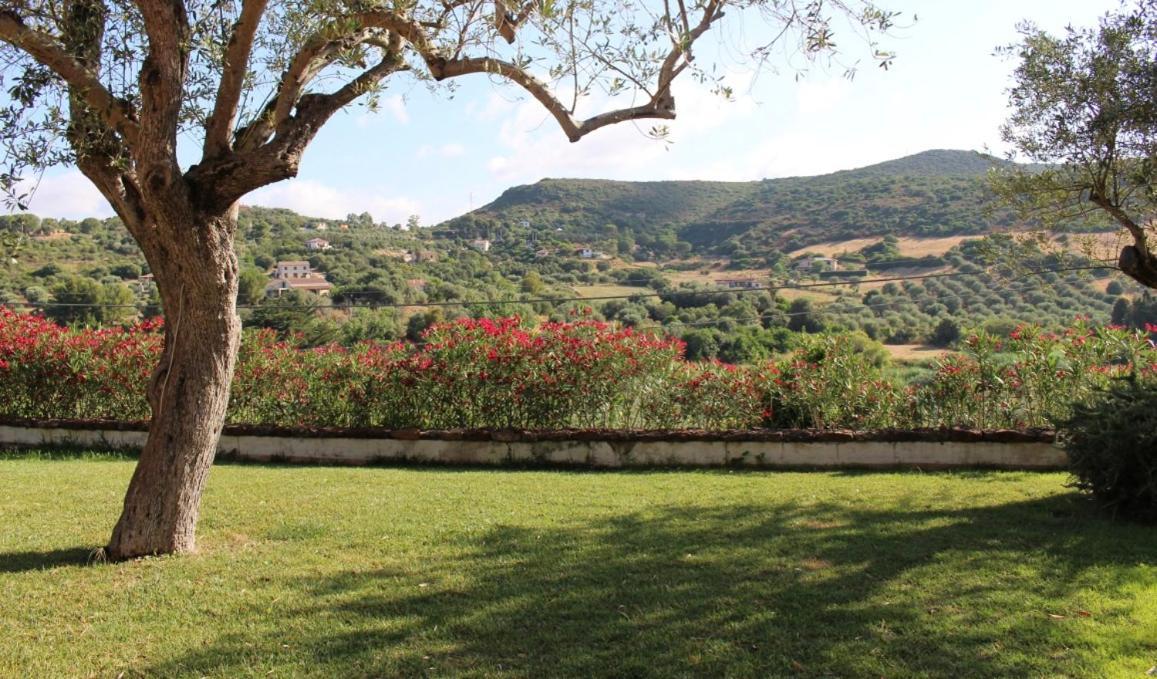 B&B Kapi Country Alghero Exterior foto